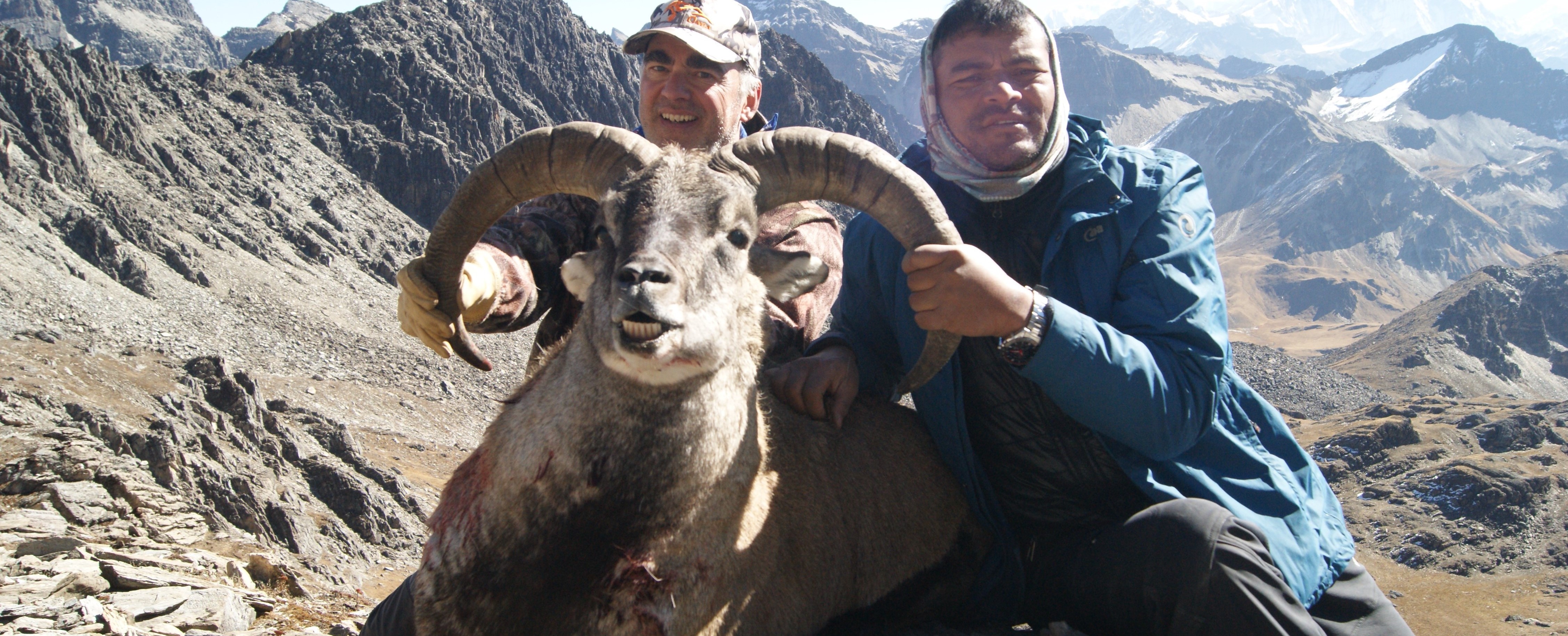 Blue Sheep & Himalayan Tahr Hunt