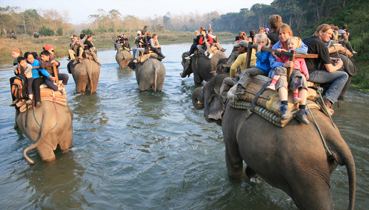 Chitwan National Park